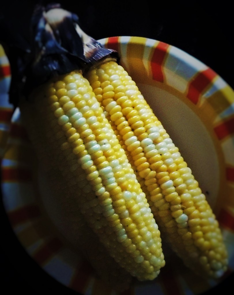 Corn on Cob