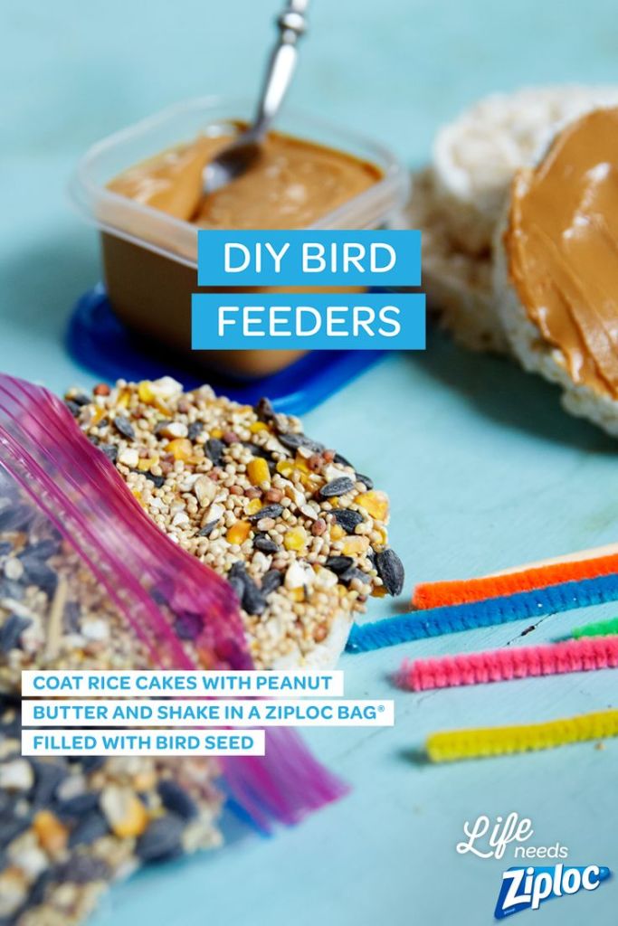 4fcf8c90fe639c6e6eb996ffd058a478-rice-cakes-summer-school