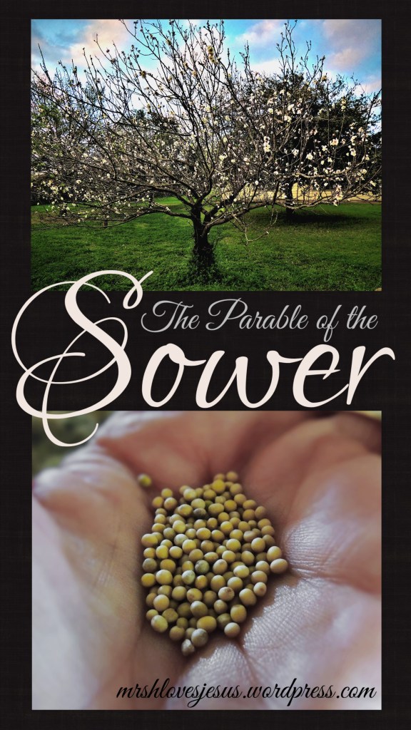 Parable of the Sower1