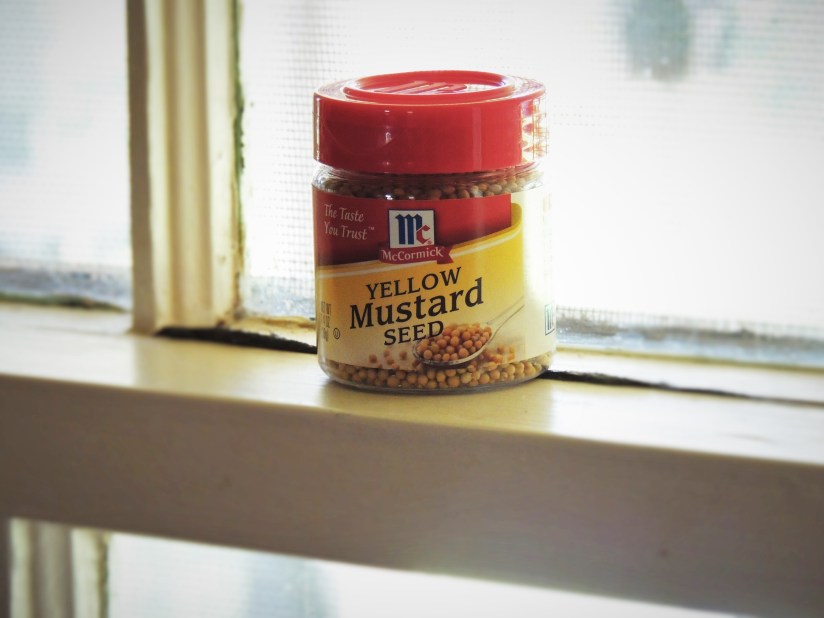 mustard seeds bottle