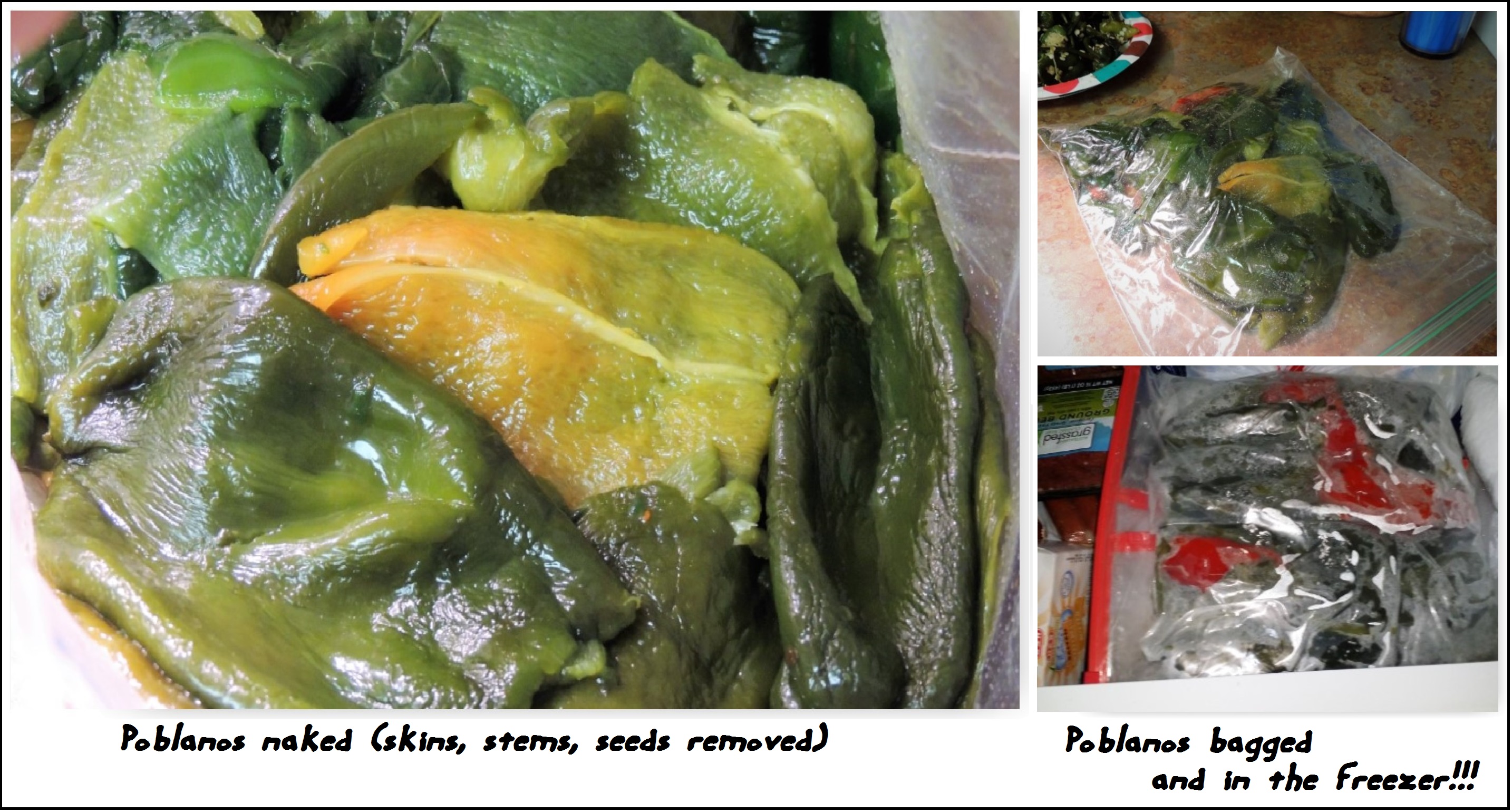 poblanos-in-the-freezer