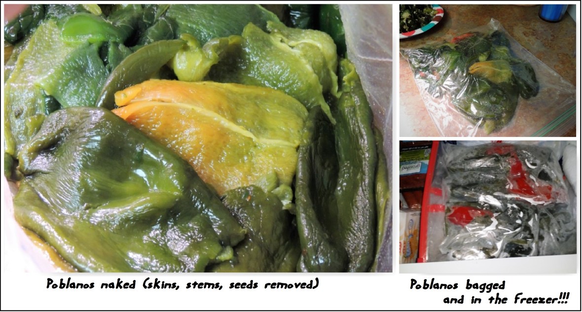 poblanos-in-the-freezer