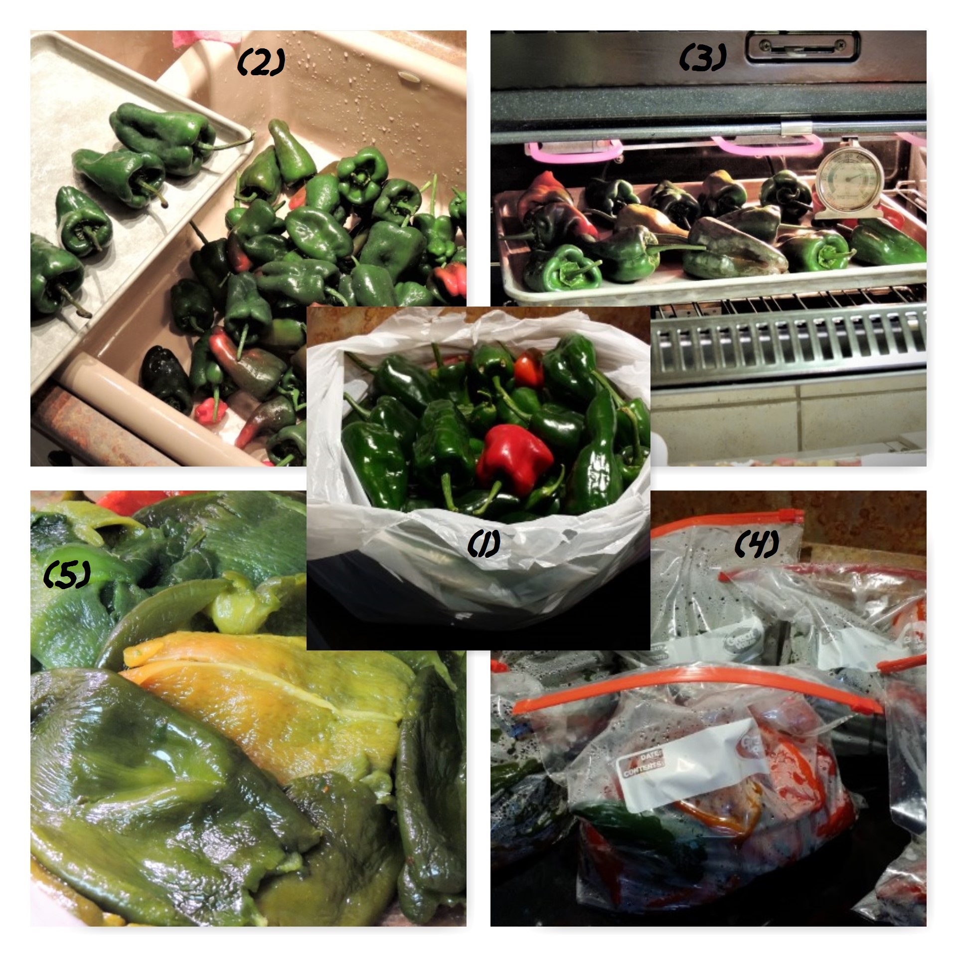 processing-poblanos-1