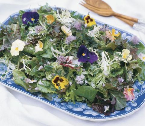 da7d46fe788ea934302d7aab1f5c3d3f-spring-flowers-the-flowers