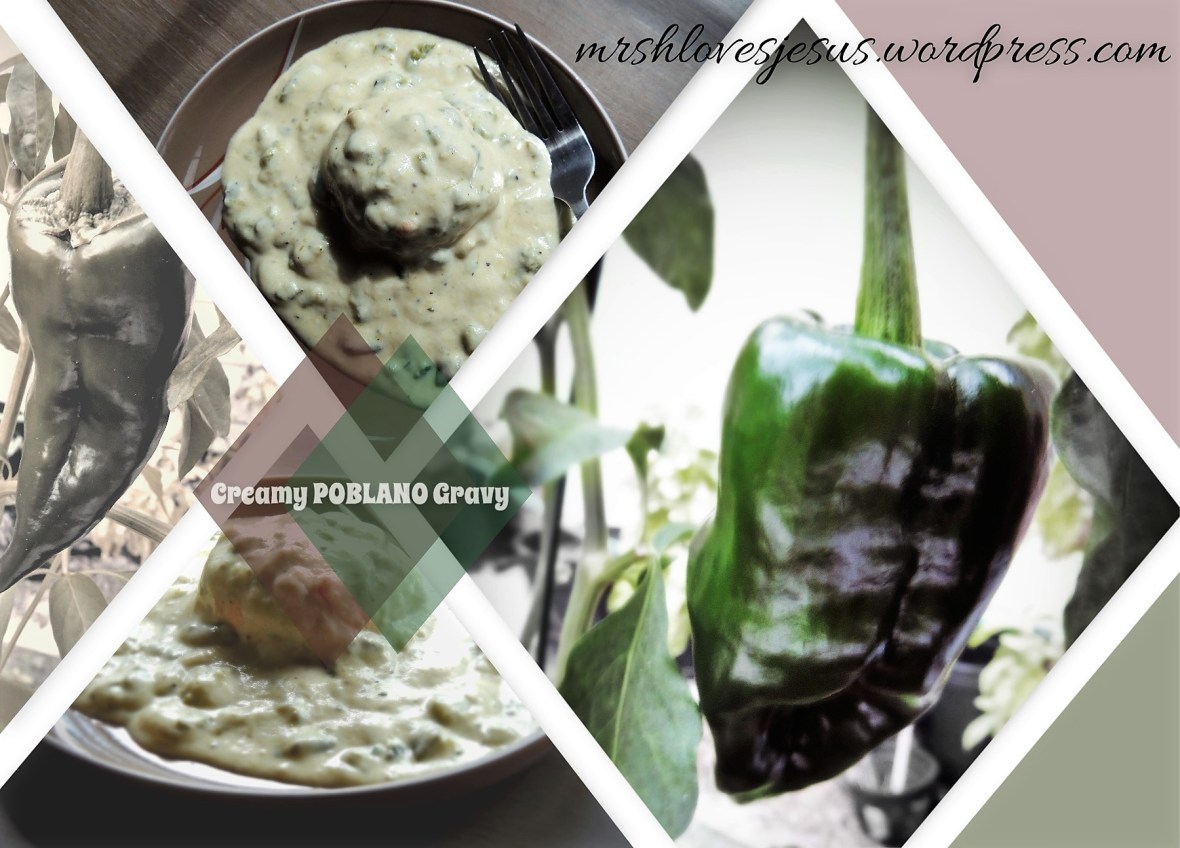 Poblano Gravy Collage